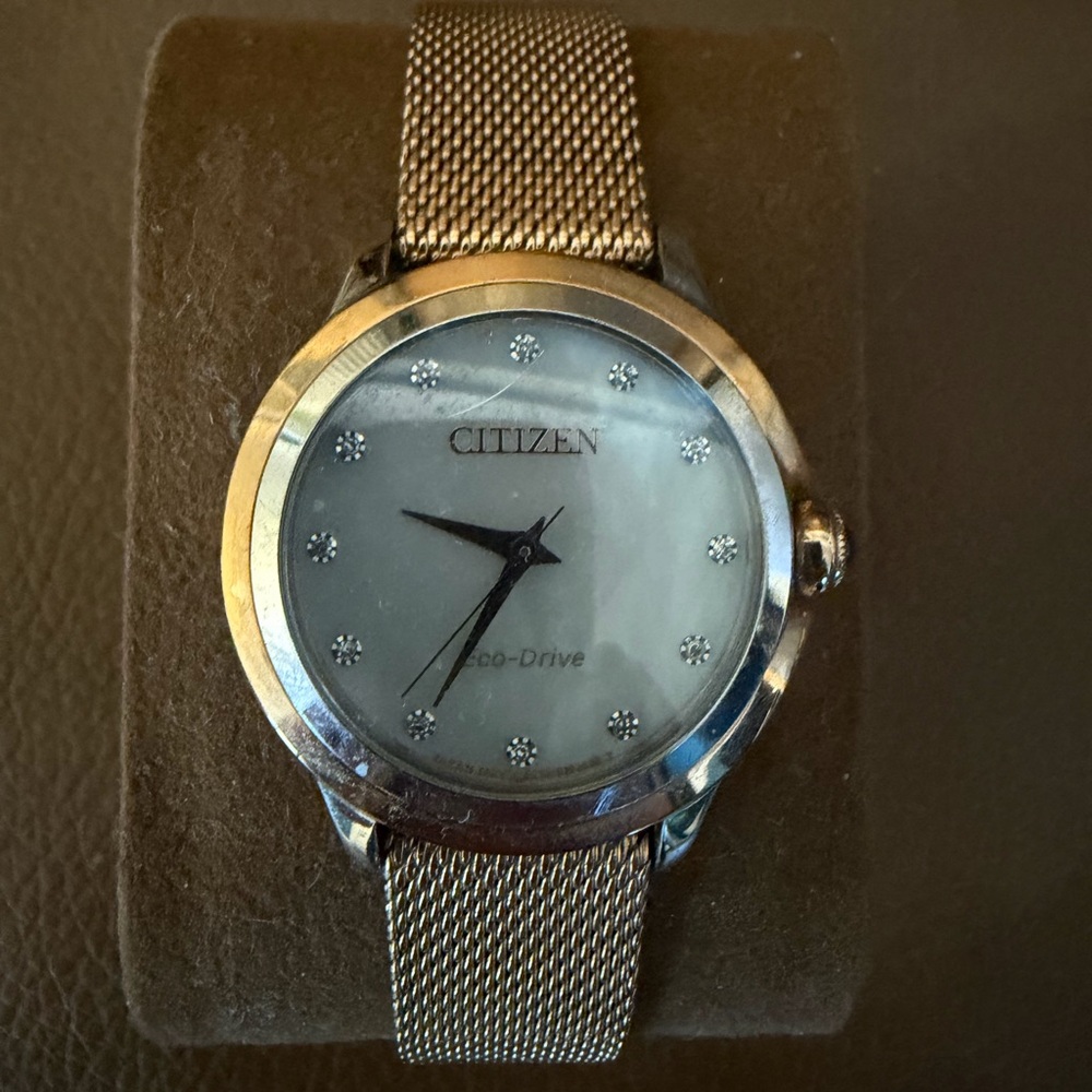 Citizen Gold and Silver Mesh Eco-Drive Watch